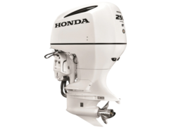2019 Honda 250 HP BF250DXCRA WT Outboard Motor for sale