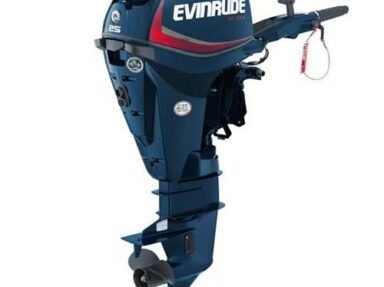 Evinrude Dealers Shipping to Nigeria (Buy)