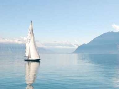 Boat Engine Dealers: 6 Essential Questions to Ask First